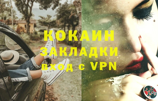 ГАЛЛЮЦИНОГЕННЫЕ ГРИБЫ Богданович