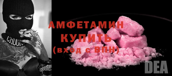 ГАЛЛЮЦИНОГЕННЫЕ ГРИБЫ Богданович
