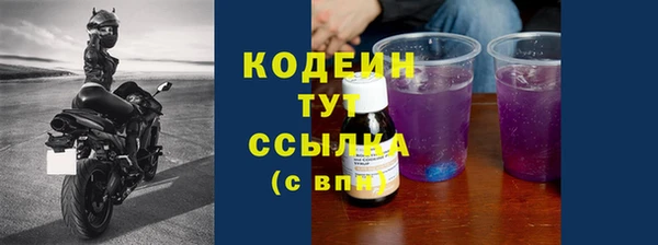 ГАЛЛЮЦИНОГЕННЫЕ ГРИБЫ Богданович