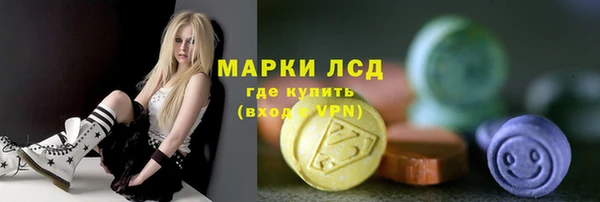 ГАЛЛЮЦИНОГЕННЫЕ ГРИБЫ Богданович