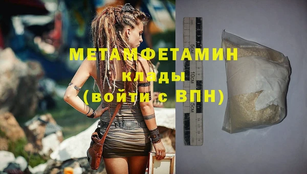 ГАЛЛЮЦИНОГЕННЫЕ ГРИБЫ Богданович