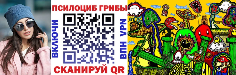 где найти наркотики  Велиж  Псилоцибиновые грибы мицелий 